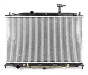 Радиатор, охлаждение двигателя BSG купить